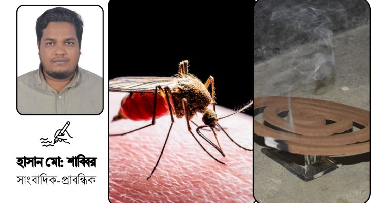 মশার কামড় না কয়েলের বিষ: সাধারণ মানুষের প্রাণ ভোমরা এখন কার হাতে?